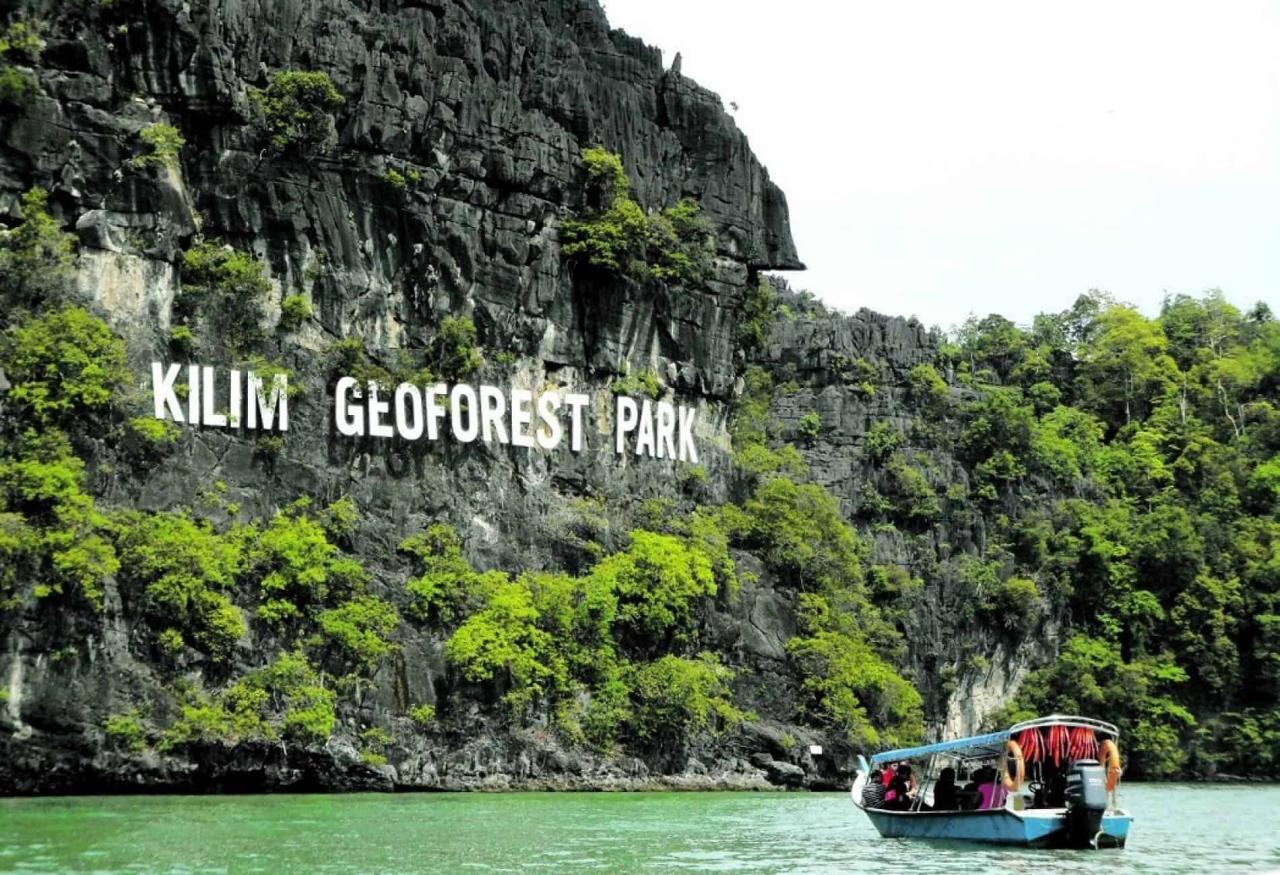 Jelajahi Keindahan Mangrove Langkawi: Tur Unik Ekosistem Pesisir